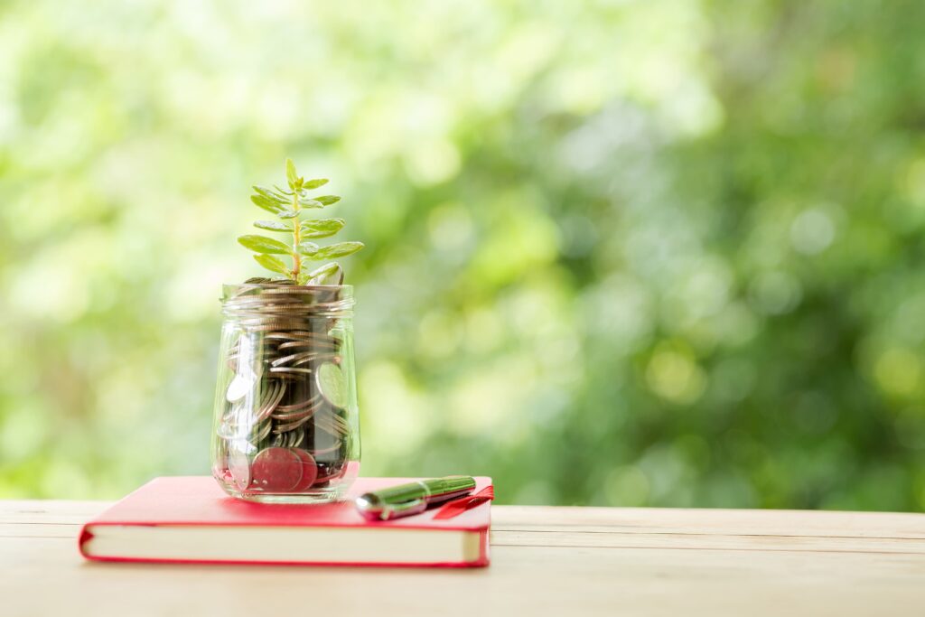 plant-growing-savings-coins 